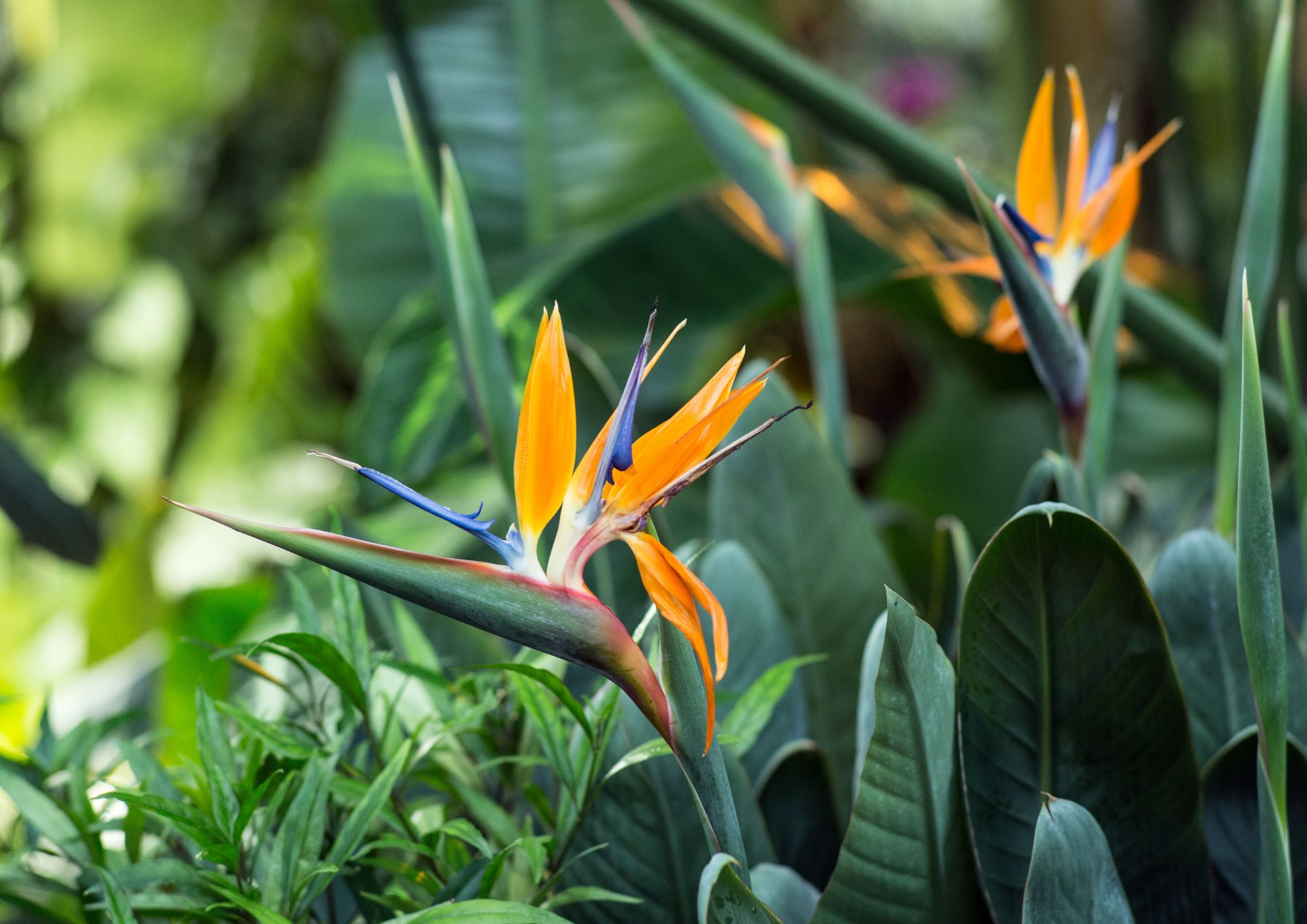 Lekker Food Gallery 3