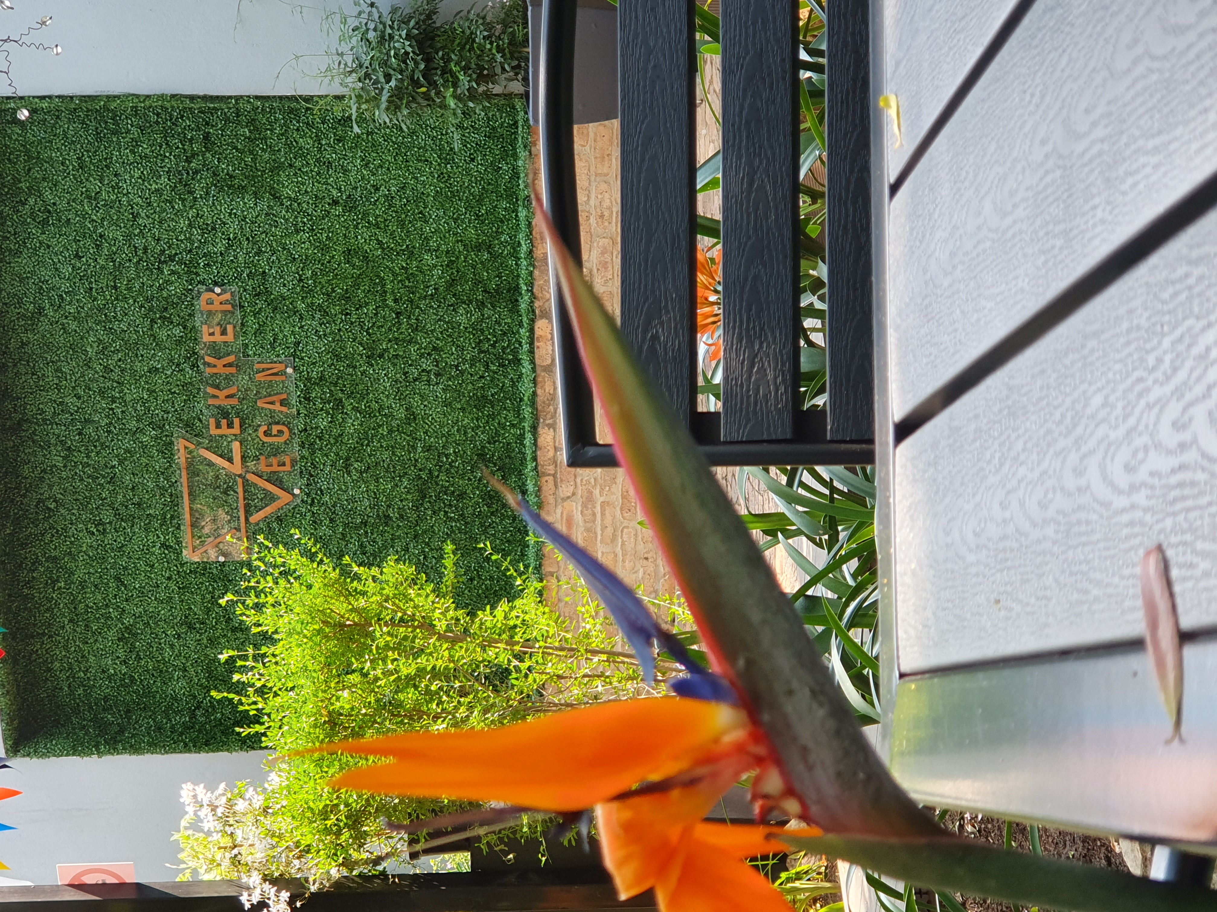 Lekker Food Gallery 7